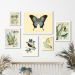 Kit 6 Quadros Botânica - Animais E Plantas Azul - com vidro