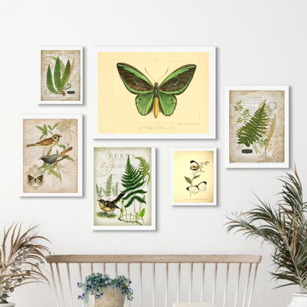 Kit 6 Quadros Botânica - Animais E Plantas Verdes - com vidro