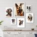 Kit 6 Quadros Cachorro Raças Variadas