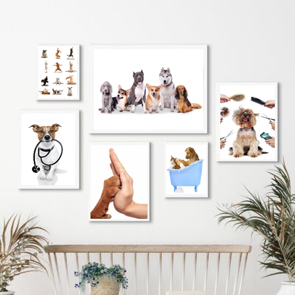 Kit 6 Quadros Clinica Veterinária E Pet Shop - com vidro