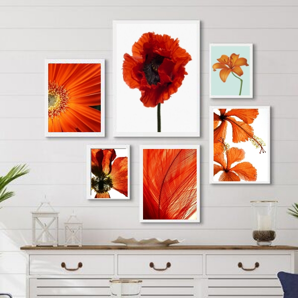 Kit 6 Quadros Decorativos Alaranjados- Flores - com vidro