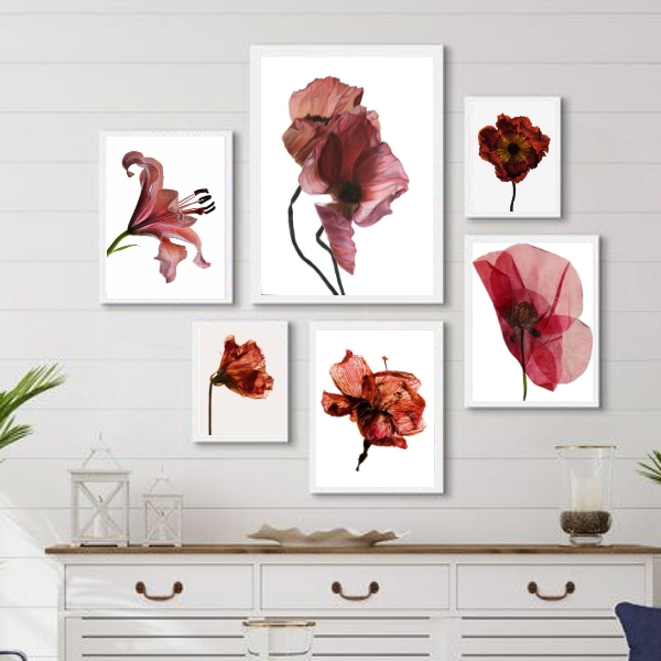 Kit 6 Quadros Decorativos Flores Vinho Marrom Marsala