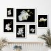 Kit 6 Quadros Florais Fotografias Orquídeas