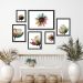 Kit 6 Quadros Florais Minimalistas Brancos