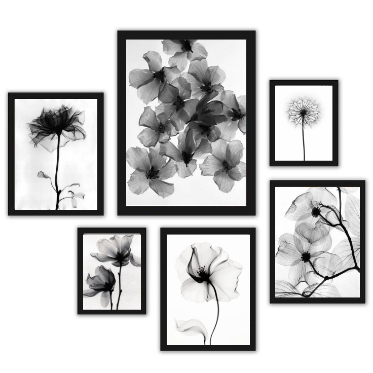 Kit 6 Quadros Flores Transparentes Preto E Branco - com vidro