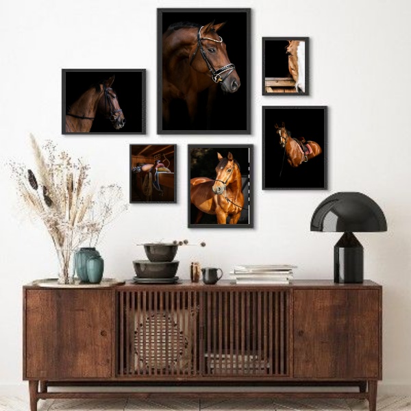 Kit 6 Quadros Fotografias Cavalos - com vidro