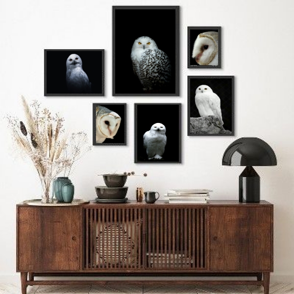 Kit 6 Quadros Fotografias Corujas Brancas - com vidro