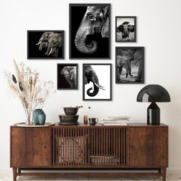 Kit 6 Quadros Fotografias Elefantes - com vidro