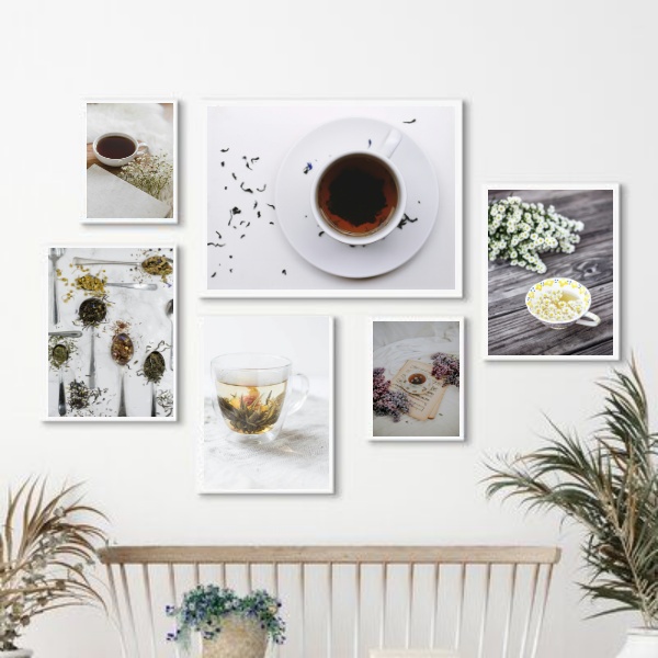 Kit 6 Quadros Fotografias Ervas Chás - com vidro