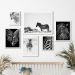 Kit 6 Quadros Fotografias Zebras- Preto e Marrom - com vidro