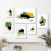 Kit 6 Quadros Gatinho Com Plantas - com vidro
