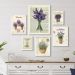 Kit 6 Quadros Lavanda Provençal - com vidro