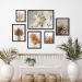 Kit 6 Quadros Neutros Folhas E Flores Secas