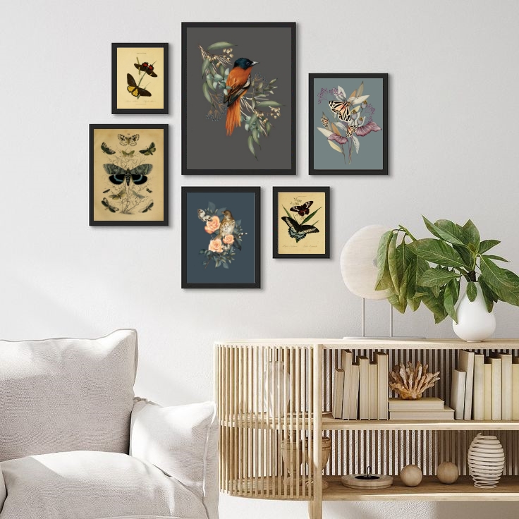 Kit 6 Quadros Passarinhos E Borboletas Vintage - com vidro