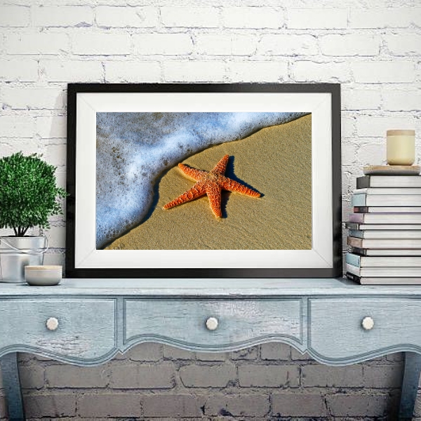 Quadro Estrela do Mar na Praia - 60x48cm