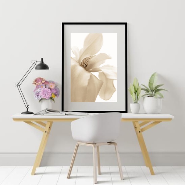 Quadro Flor Branco Gelo - 60x48cm