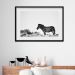 Quadro Horizontal Foto Zebra - 60x48cm