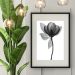Quadro Minimalista Flor Transparente P&amp;B - 60x48cm