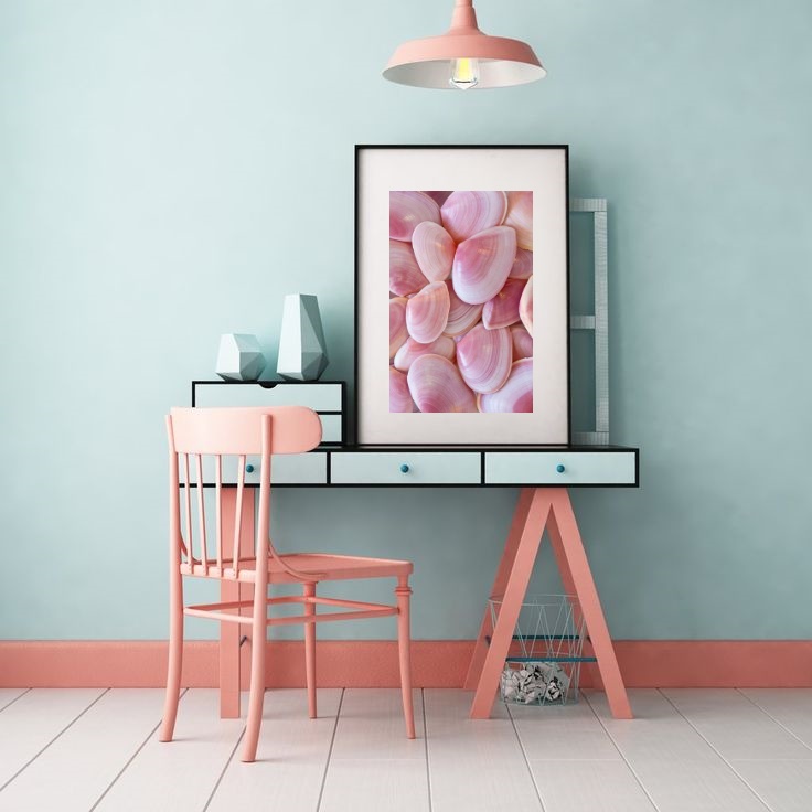 Quadro Praia Conchas Rosas - 60x48cm