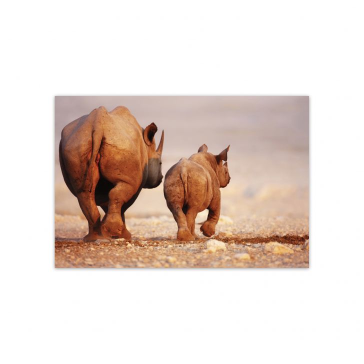 //static.mobly.com.br/p/Quartinhos-Placa-Decorativa-MDF-Foto-Safari-Rinoceronte-20x30cm-4959-420926-1-zoom.jpg