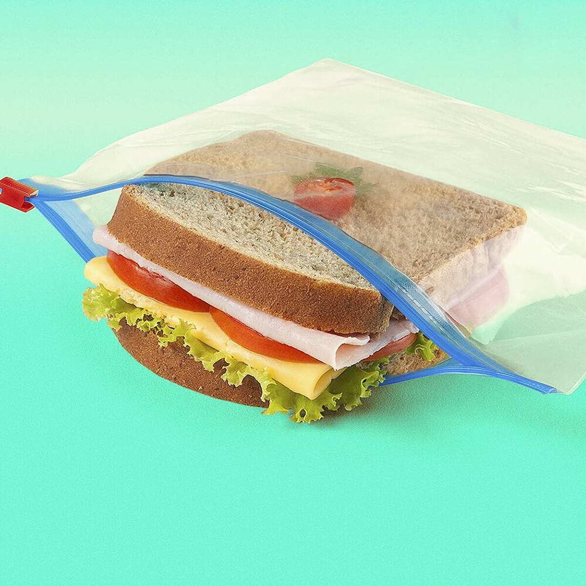10 Sacos Herméticos Plásticos Para Alimentos Abre Fecha 1L Sanremo