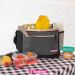 Bolsa Térmica Cooler Com Alças Sanremo 8 Litros Praia Marmita Lanche Cinza