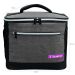 Bolsa Térmica Cooler Com Alças Sanremo 8 Litros Praia Marmita Lanche Cinza