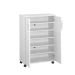 Armário Multiúso Rayder II Branco Fosco