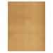 Tapete Essential I 200x250 cm Camelo