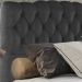 Cabeceira Queen 158 cm Milan Veludo Preto Soon