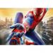 Quadro Decorativo Homem Aranha Spiderman 1 Tela