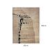 Tapete Ancestralidade Fossil Retangular Veludo (150x200) Bege
