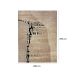Tapete Ancestralidade Fossil Retangular Veludo (200x290) Bege