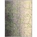Tapete New Look Arabesco Retangular Veludo (150x200) Cinza e Verde
