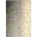 Tapete New Look Arabesco Retangular Veludo (200x290) Cinza e Verde