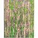 Tapete New Look Retangular Polipropileno (200x250) Savana