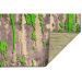 Tapete New Look Retangular Polipropileno (200x250) Savana