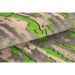 Tapete New Look Retangular Polipropileno (200x290) Savana
