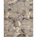 Tapete New Look Retangular Polipropileno (300x400) Cinza