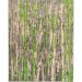 Tapete New Look Retangular Polipropileno (300x400) Savana