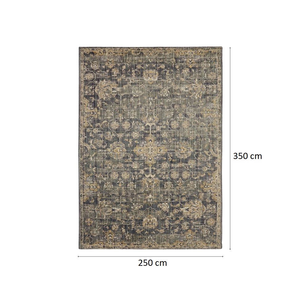 Tapete Rosimarie Blue Retangular Veludo (250x350) Cinza