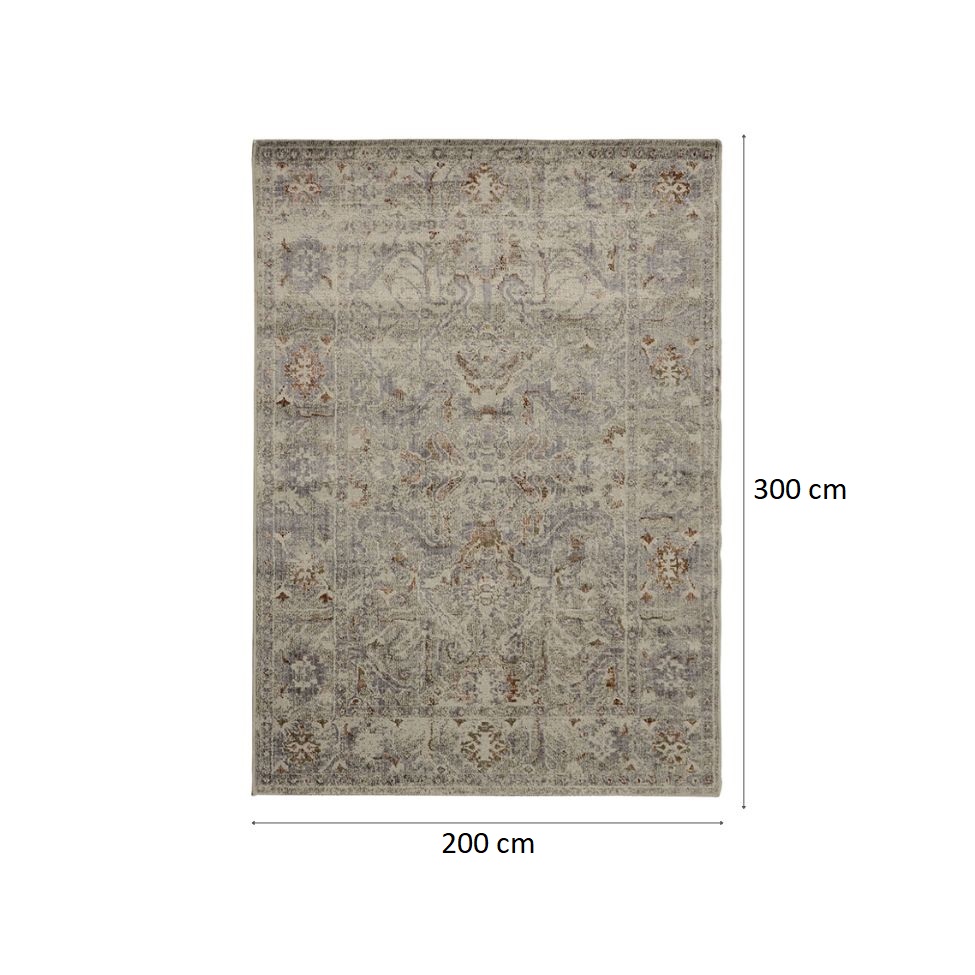 Tapete Rosimarie Bronze Retangular Veludo (200x300) Cinza