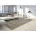 Tapete Rosimarie Bronze Retangular Veludo (250x350) Cinza