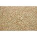 Tapete Tufting Dynamic Retangular Polipropileno (200x300) Pinho