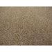 Tapete Tufting Lumiere Redondo Polipropileno (140x140) Areia