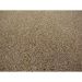 Tapete Tufting Lumiere Redondo Polipropileno (290x290) Areia
