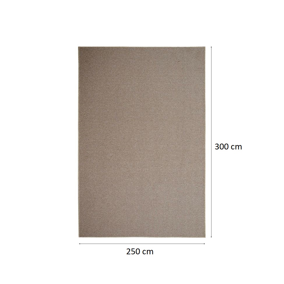 Tapete Tufting Lumiere Retangular Bouclé (250x300) Amêndoa