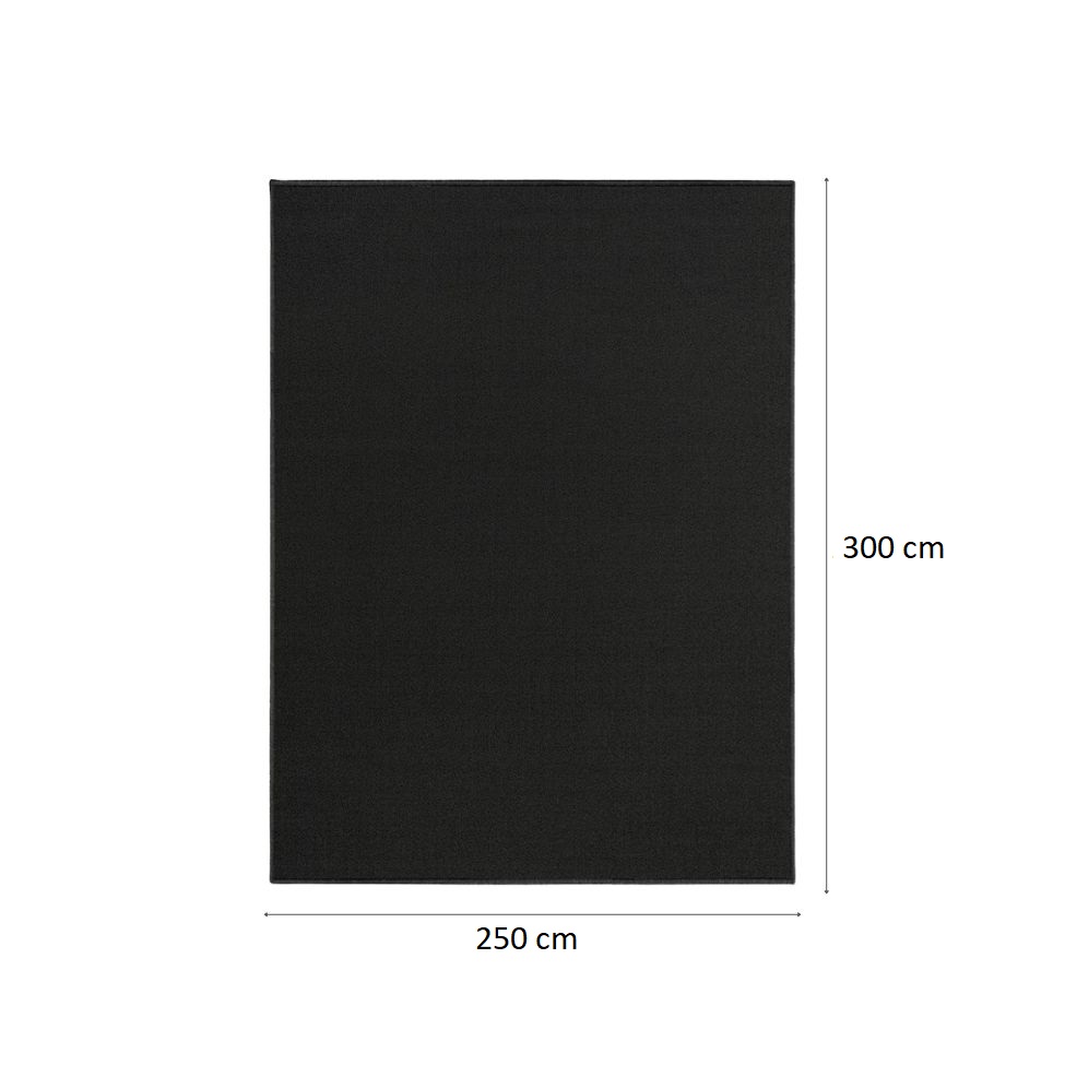 Tapete Tufting Lumiere Retangular Bouclé (250x300) Preto