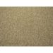 Tapete Tufting Lumiere Retangular Polipropileno (300x100) Areia