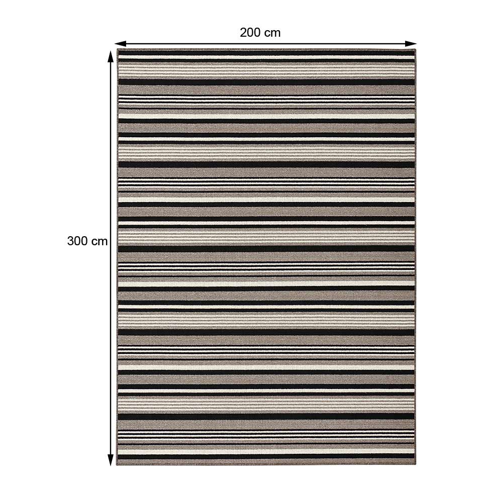 Tapete Pyrite Retangular (200x300) Orla